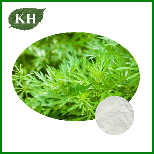 Artemisinin Powder Artemisinin Powder